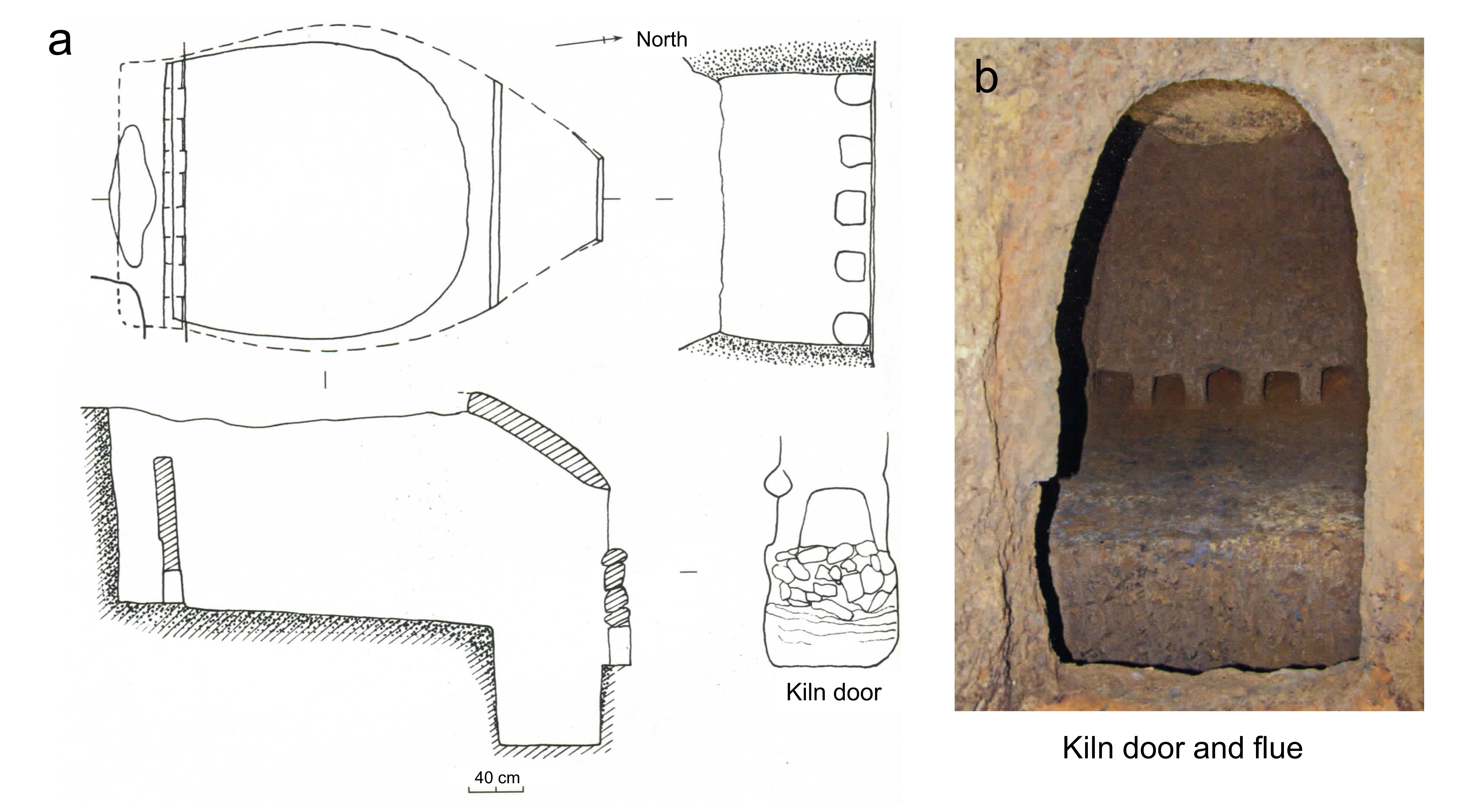 Kilns in the Late Northern Dynasties of Xing kiln
