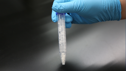 De Novo Starch Synthesis from CO2