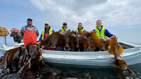 New Technologies Create China's Kelp Aquaculture Industry