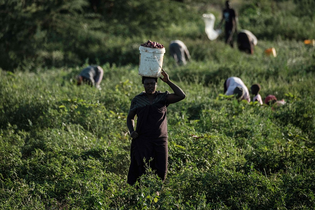 China-Africa Sci-tech Cooperation in Progress