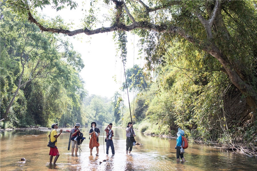 Biodiversity Aid Tops Agenda for Chinese, Asian Experts