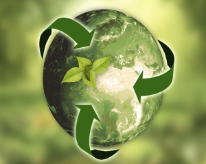 Chinese, African Scientists Endorse Joint Pact to Promote Sustainability Agenda