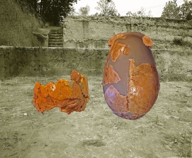 New Finds from China Suggest Human Evolution Probably of Regionally Continuity