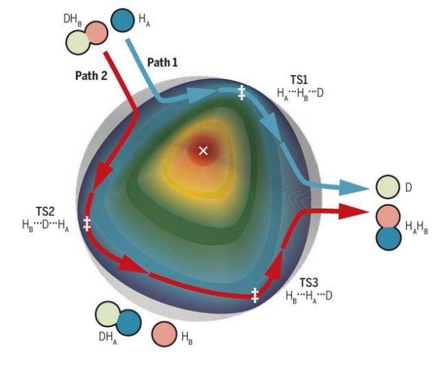 Observation of Quantum Interference in Chemical Reactions