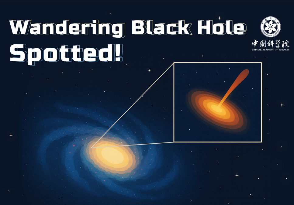 Wandering Black Hole: Meet the Lost Traveler of the Cosmos