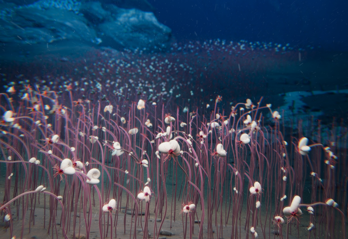 How Deep Can Life Go?