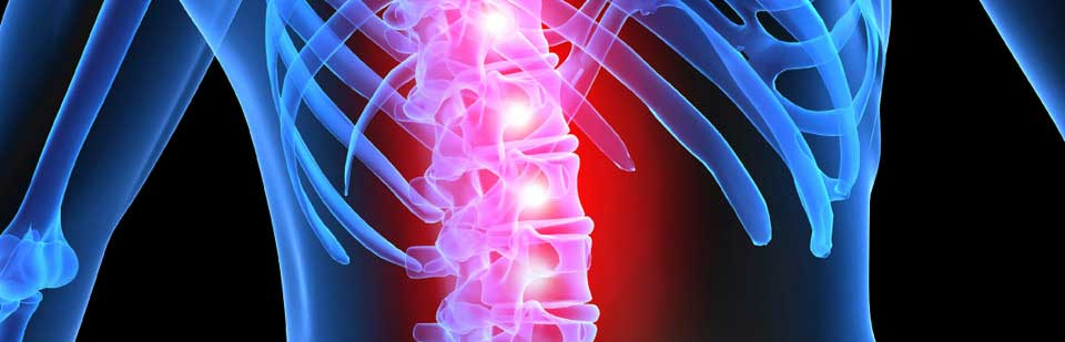 Human Tests Start on Collagen Complex to Repair Spinal Cord Injury