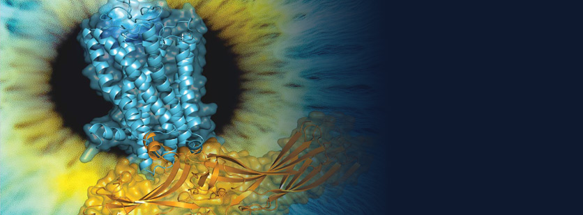 X-ray Laser Sheds Light on Structure of Important Biomolecular Complex