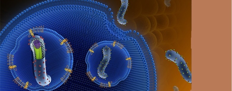 Chinese Scientists Make Ebola Breakthrough