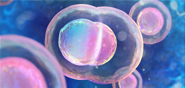 Chinese Scientists Find Key Factor Activating Genome Expression in Human Embryos