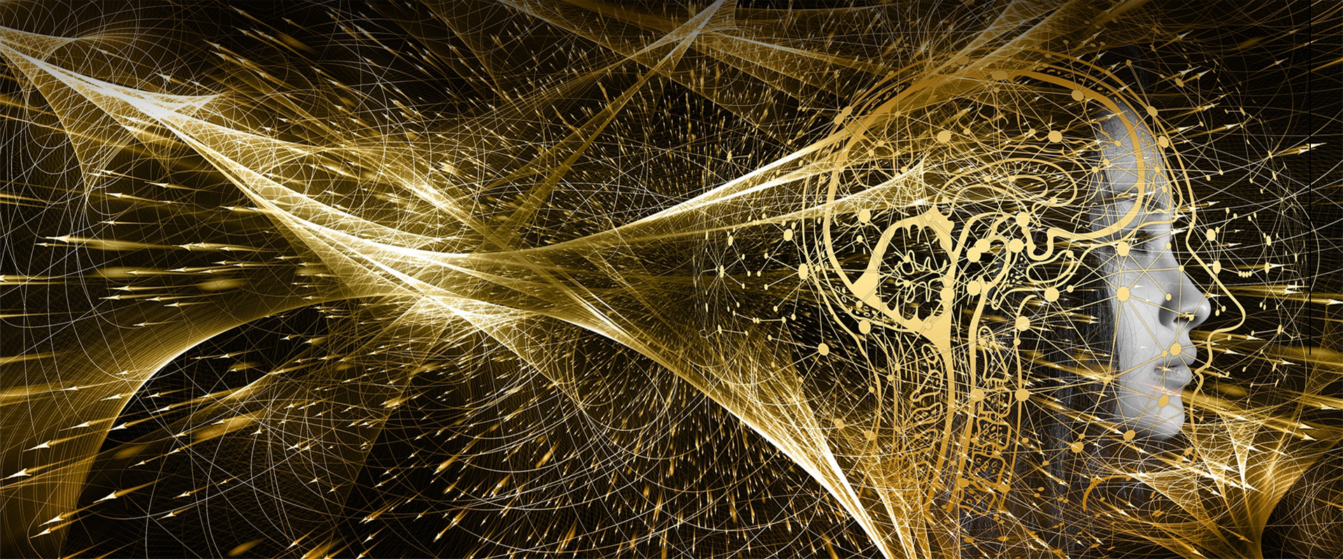 Chinese Scientists Leading New Frontier