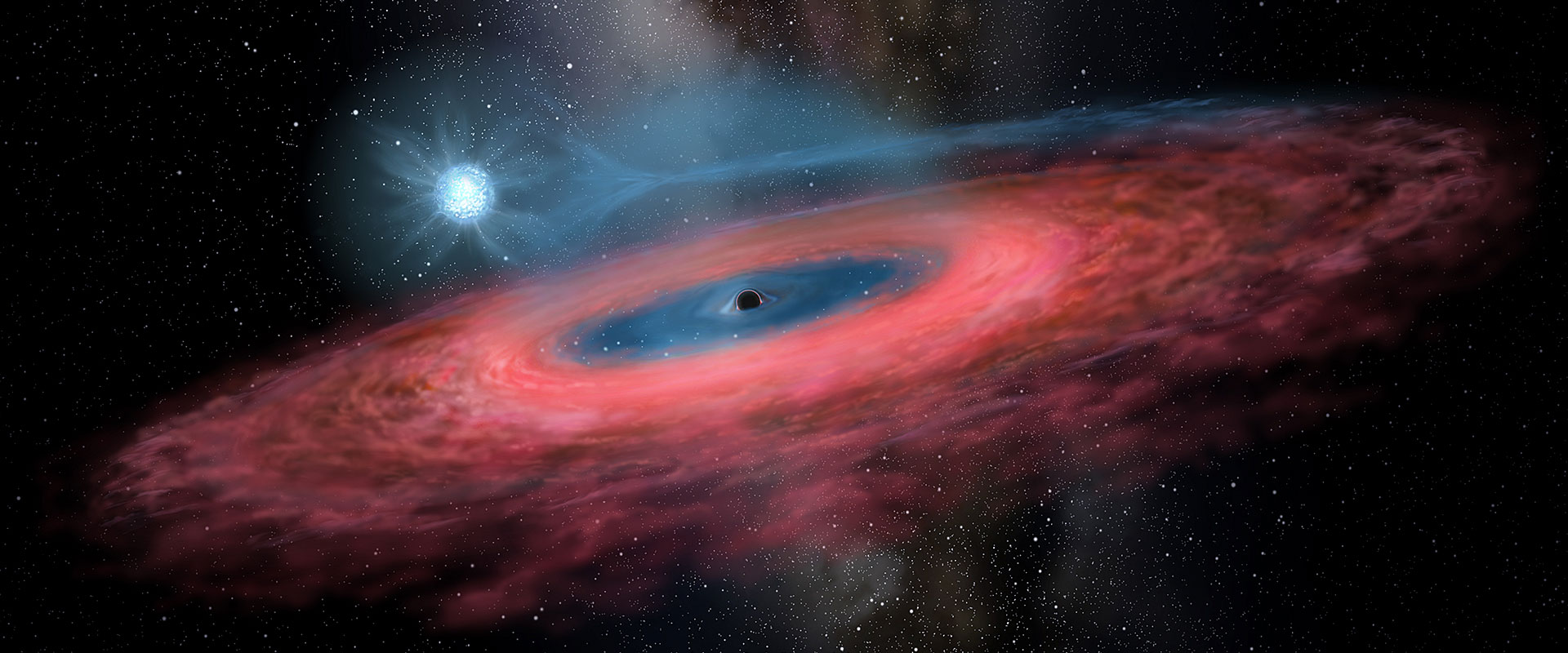 Chinese Academy of Sciences Leads Discovery of Unpredicted Stellar Black Hole