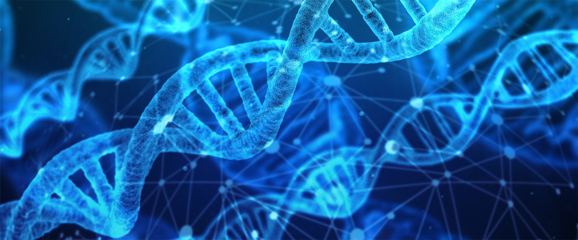 Academy Seeks More World Input on Science