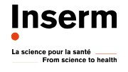 French National Institute of Health and Medical Research