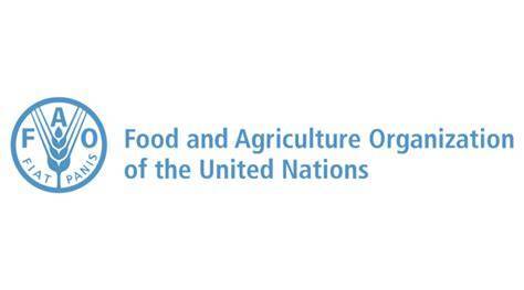 Food and Agriculture Organization of the United Nations (FAO)