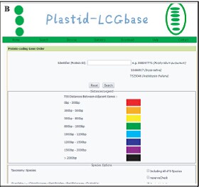 gene&nbspcluster;plastid-LCGbase;genome