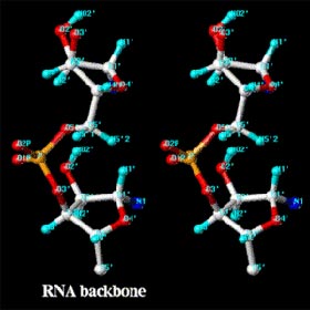 RNA tech for treatment of breast cancer