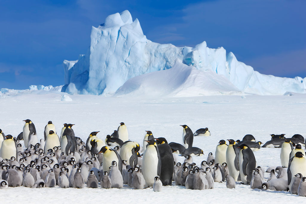 Chile Hails Collaboration with China in Antarctica