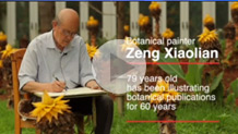 Flora in Bloom: Meet China's Veteran 79-year-old Botanical Painter