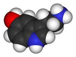 Serotonin as a key regulator of fear memory