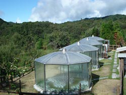 CO2 phytotron erected in Ailaoshan Mountains