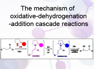 SIMM Discovers Novel Organocatalytic Concept: Oxidative Enamine Catalysis