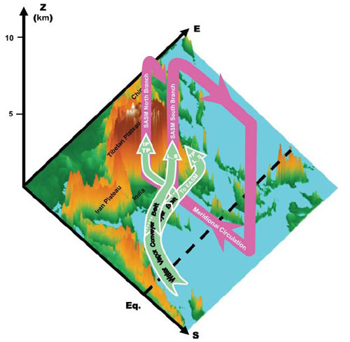 gross structure of South Asian summe monsoon.jpg