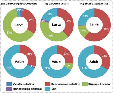 Environmental Filtering Governs Assembly of Fish Gut Microbiota