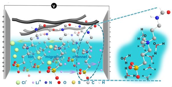 a zwitterionic gel electrolyte that successfully brings the synergic advantages of robust water retention ability and ion migration channels.jpg