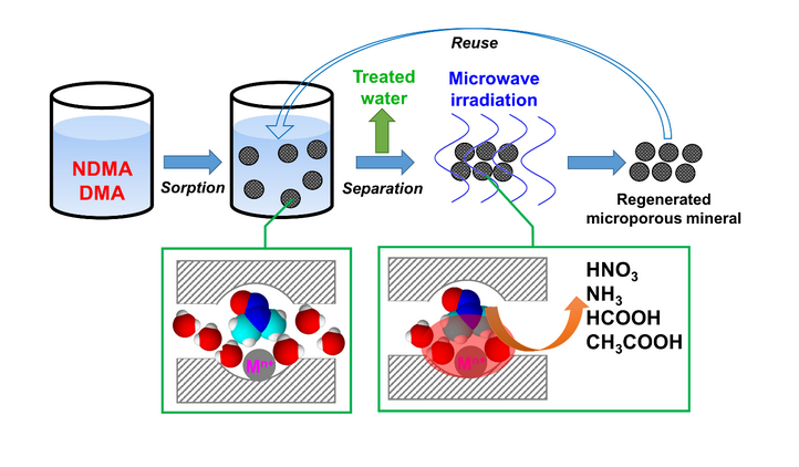 The sorptive removal of NDMA and DMA from aqueous solution by microporous minerals followed by destruction by microwave irradiation