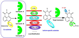 isoform-specific fluorescent probe.jpg