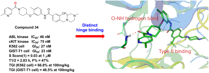 CHMFL-ABL/KIT-155 (compd. 34) with a distinct hinge binding.