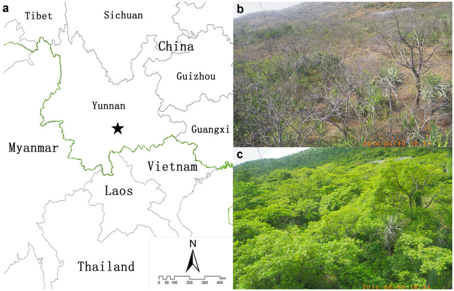 Geographical location and vegetation of Yuanjiang savanna.jpg