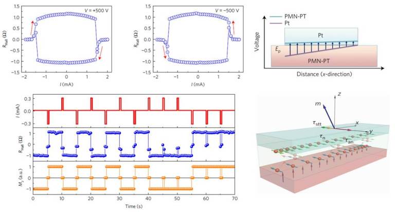 Scientists First Demonstrate Electric Field Controlled  Deterministic Magnetization Switching in Hybrid Ferromagnetic/ferroelectric Structure