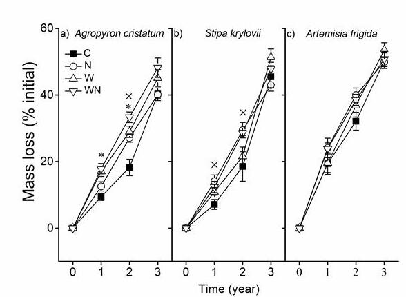 Effects of water and N addition