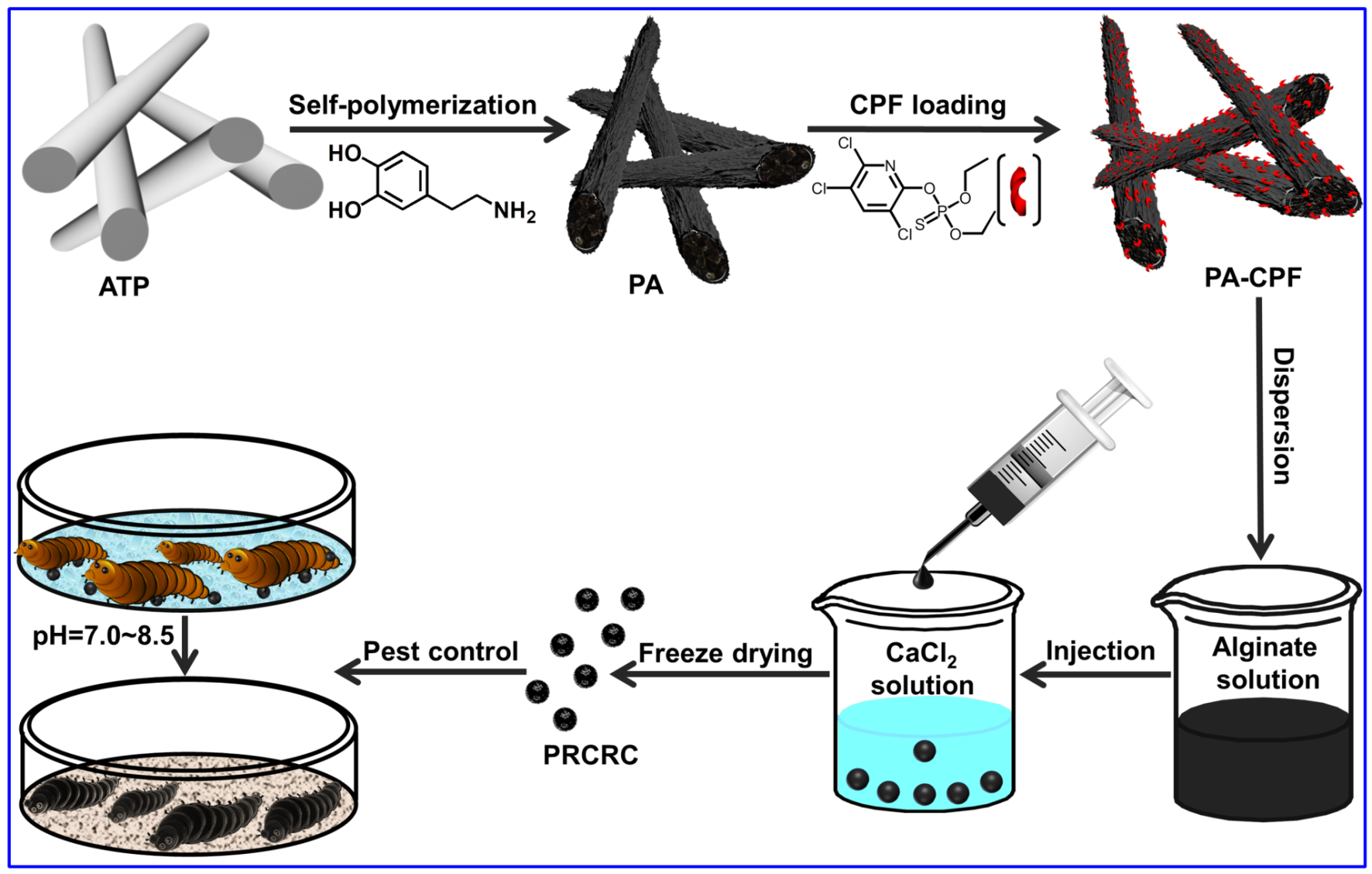 Attapulgite-based Hydrogel to Develop a PH-responsively Controlled-release Pesticide