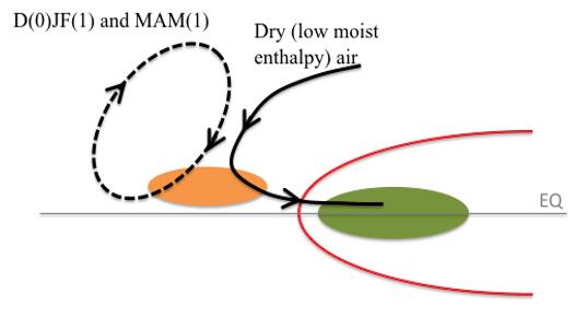 Anomalous moist enthalpy advection mechanism.jpg