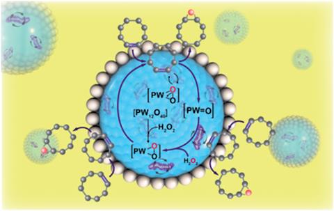 Magnetic Bacteria Cause a Stir