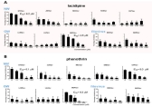Broad spectrum antiviral activity of the hit compounds against different mammarenavirus and filovirus