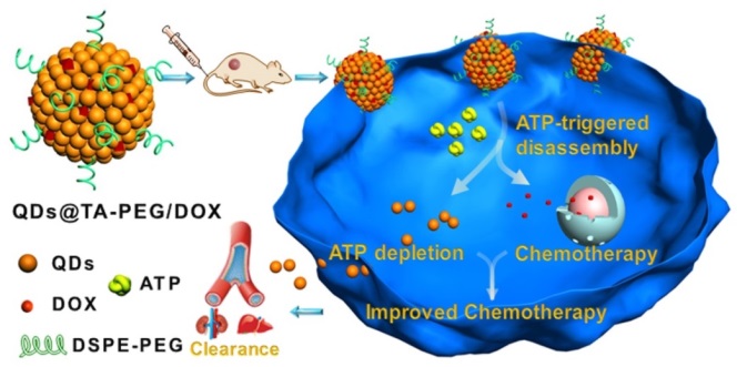 Tumor Environment Responsive Smart Nanoagent Constructed for Controlled Drug Delivery