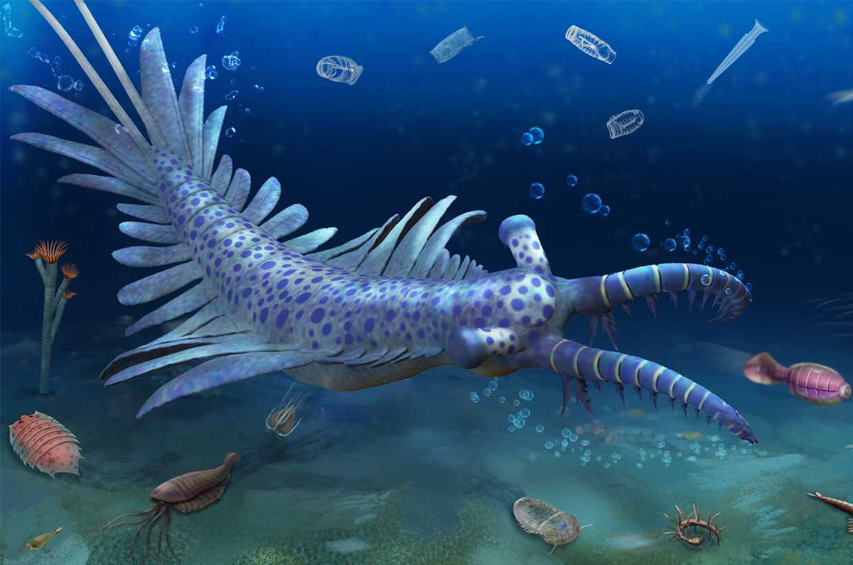 Chinese Fossil Find Illuminates Earth's Earliest Mass Extinction