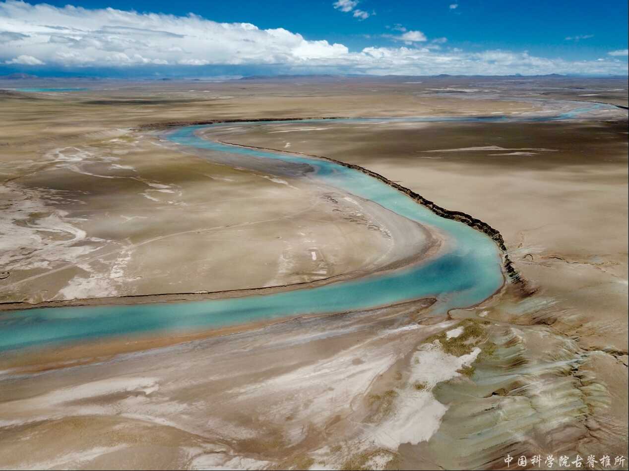 New Fossils Reveal High Fish Diversity on Qinghai-Tibet Plateau 15 mln Years Ago