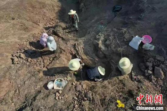 3-year-old Dinosaur Larva Fossil Unearthed in Yunnan