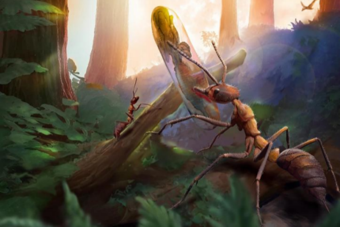 Chinese Scientists Lead Discovery of Parasitic Fungus from 100 Million Years Ago