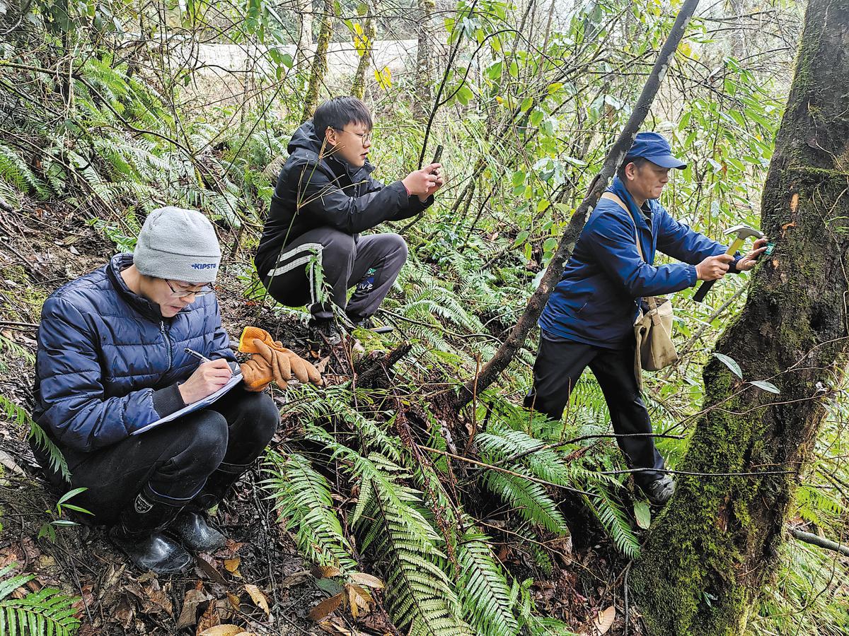 Preserving Yunnan's Rare Wild Plant Species