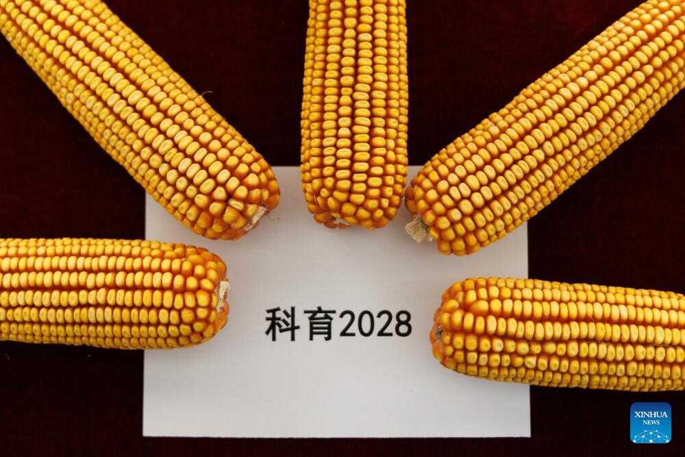 Chinese Scientists Develop 