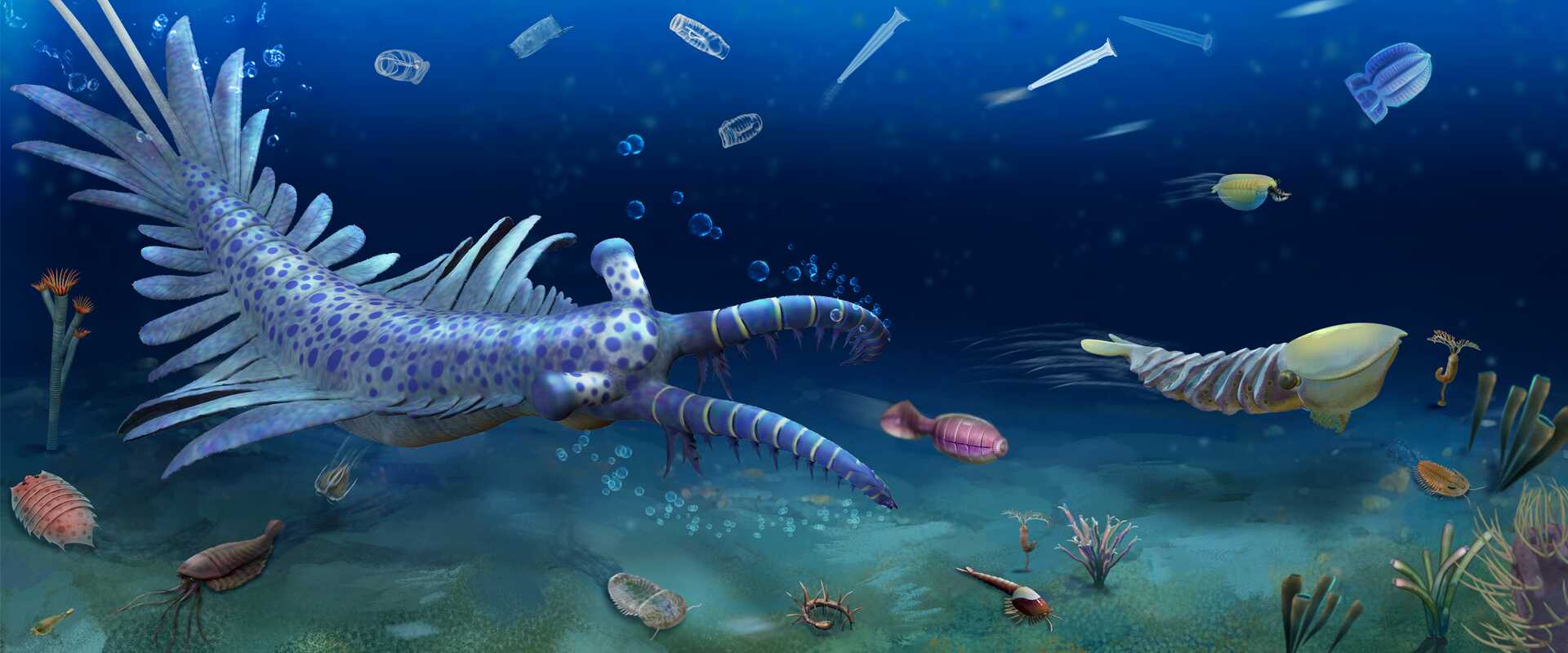 Huayuan Biota Decodes Earth's First Phanerozoic Mass Extinction