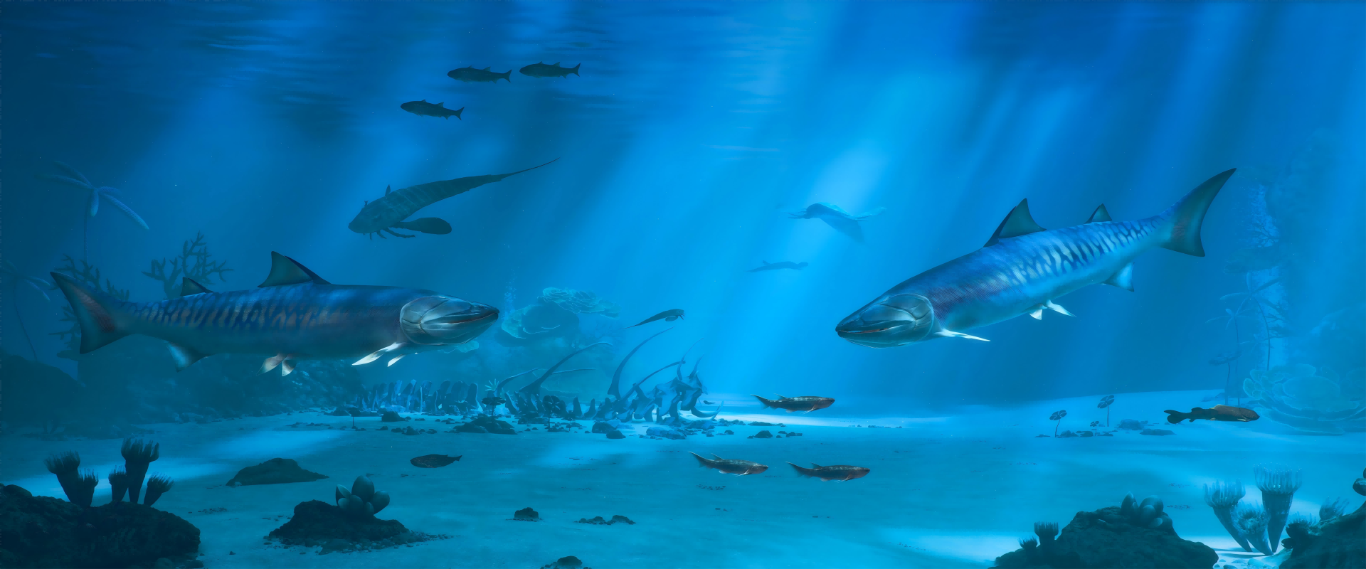 Oldest Known Bony Fish Fossils Uncover Early Vertebrate Evolution