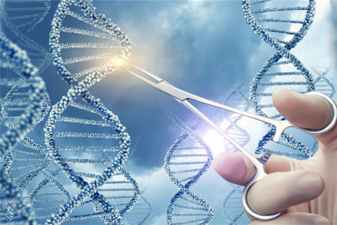 Local Scientists Develop New Method That May Boost Gene-editing Accuracy