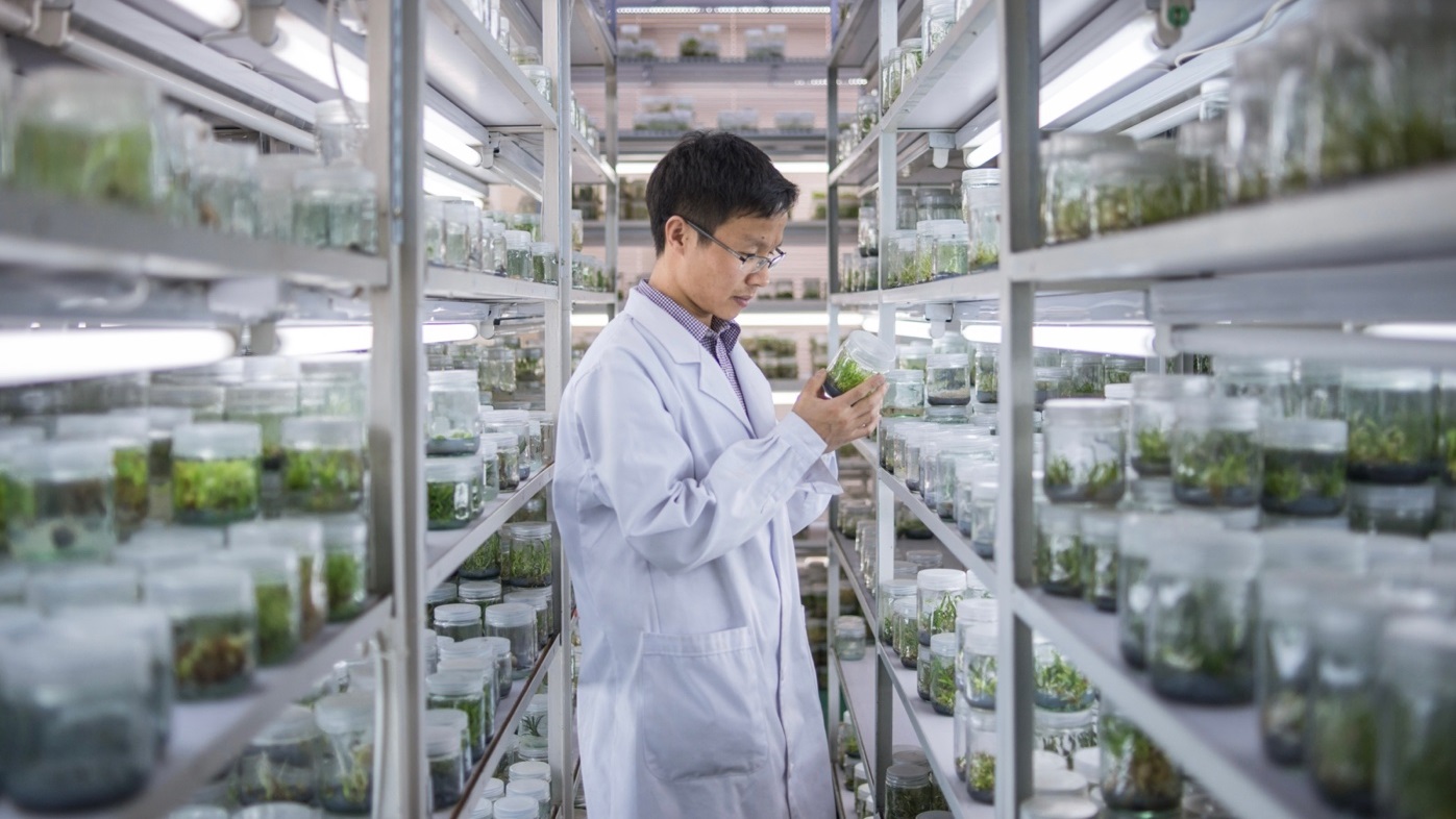 China's Seed Bank Key in Preserving Genetic Diversity